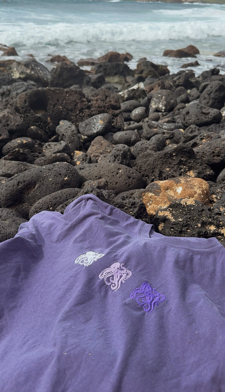 Vanishing Octopus Tee