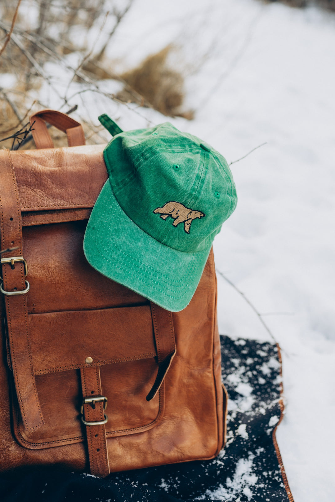 Bear Vintage Hat