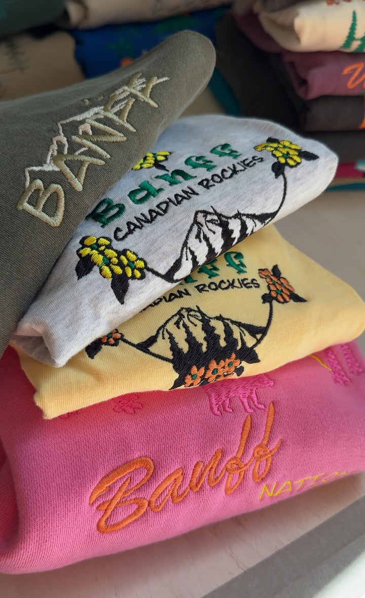 🍁Banff Wildflower Tee
