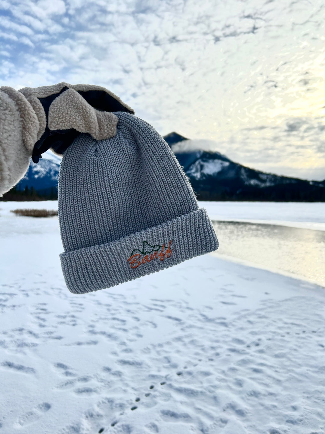 🍁Retro Banff Beanie