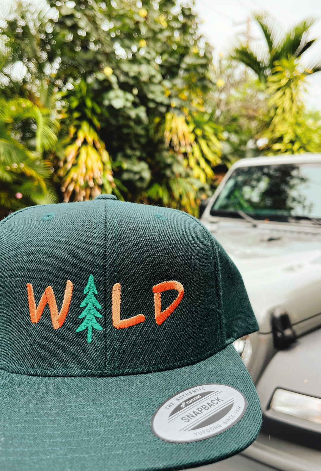 Retro Wild Snapback