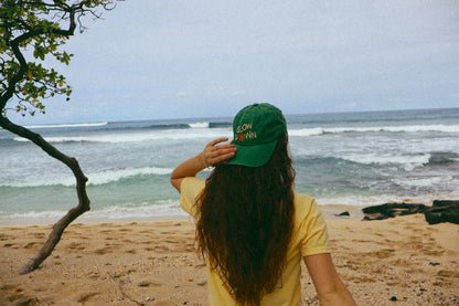 Vintage Slow Down Hat