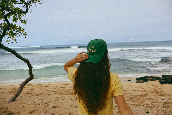 Vintage Slow Down Hat