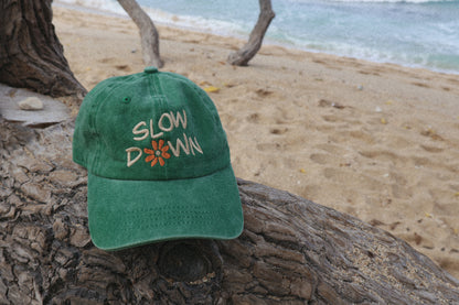 Vintage Slow Down Hat