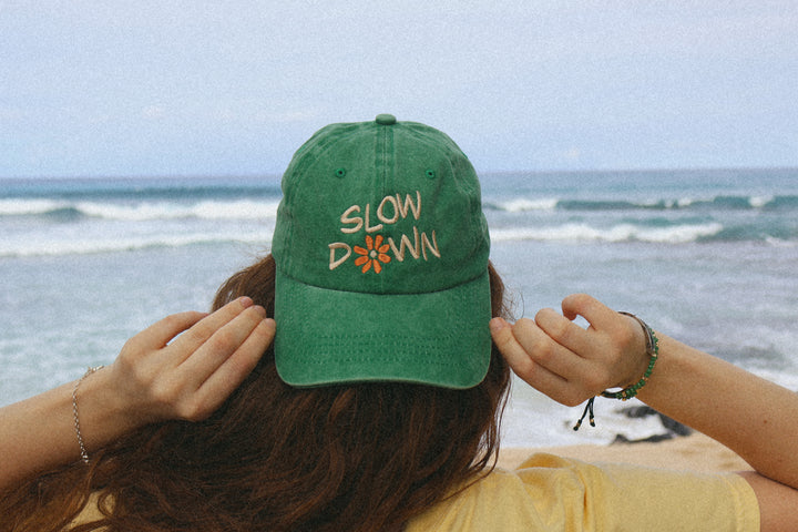 Vintage Slow Down Hat