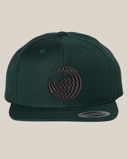 Raven Classic Snapback