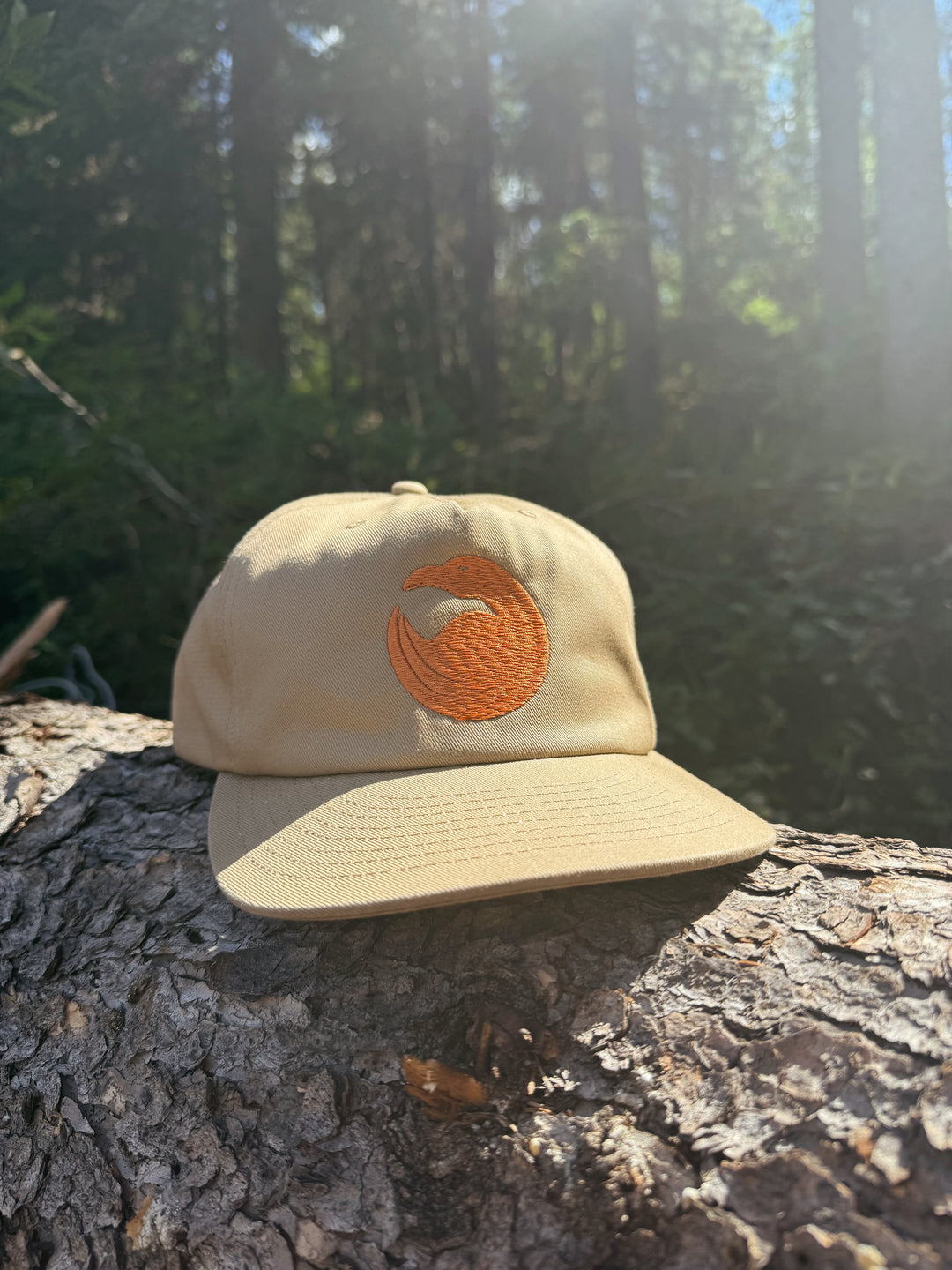 Classic Raven Snapback