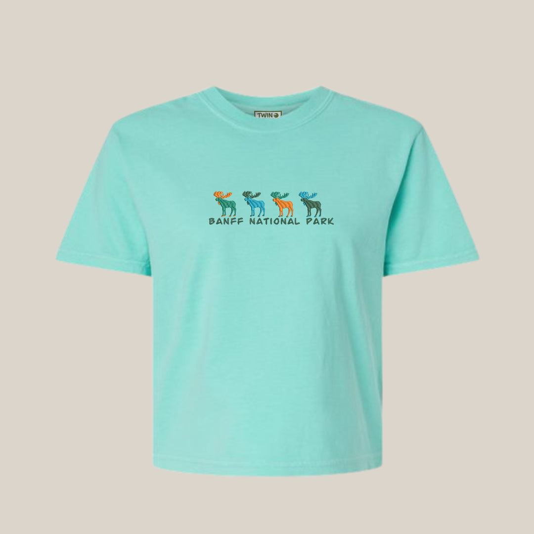 Groovy Banff Moose Tee