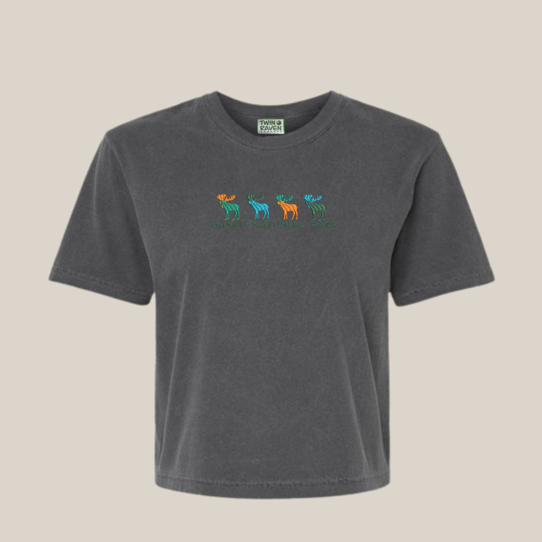 Groovy Banff Moose Tee