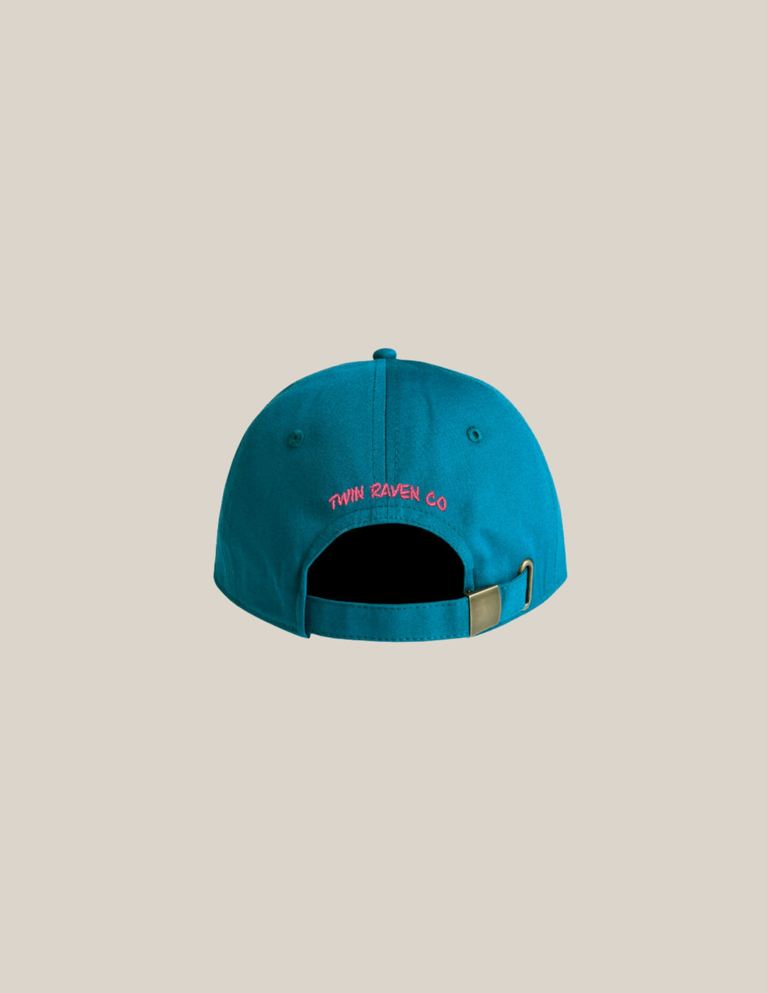 Vintage Sea Turtle Hat